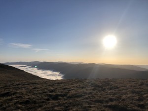 IMG_0994.jpeg
