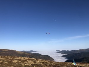IMG_0993.jpeg