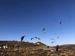 IMG_0990.jpeg