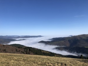 IMG_0982.jpeg