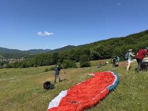 IMG_4212.jpeg