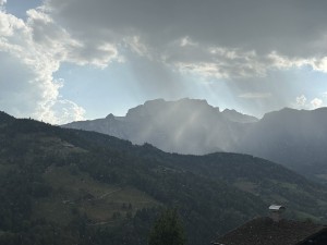 IMG_7314.jpeg