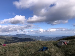 IMG_0020.jpeg