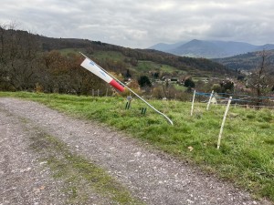 IMG_3776.jpeg