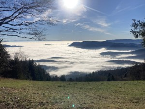 IMG_5241.jpeg