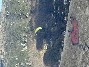 IMG_3397.jpeg