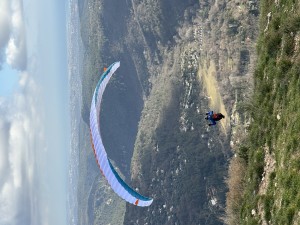 IMG_3391.jpeg