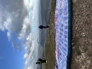 IMG_3388.jpeg