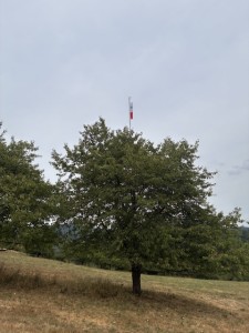 IMG_1258.jpeg